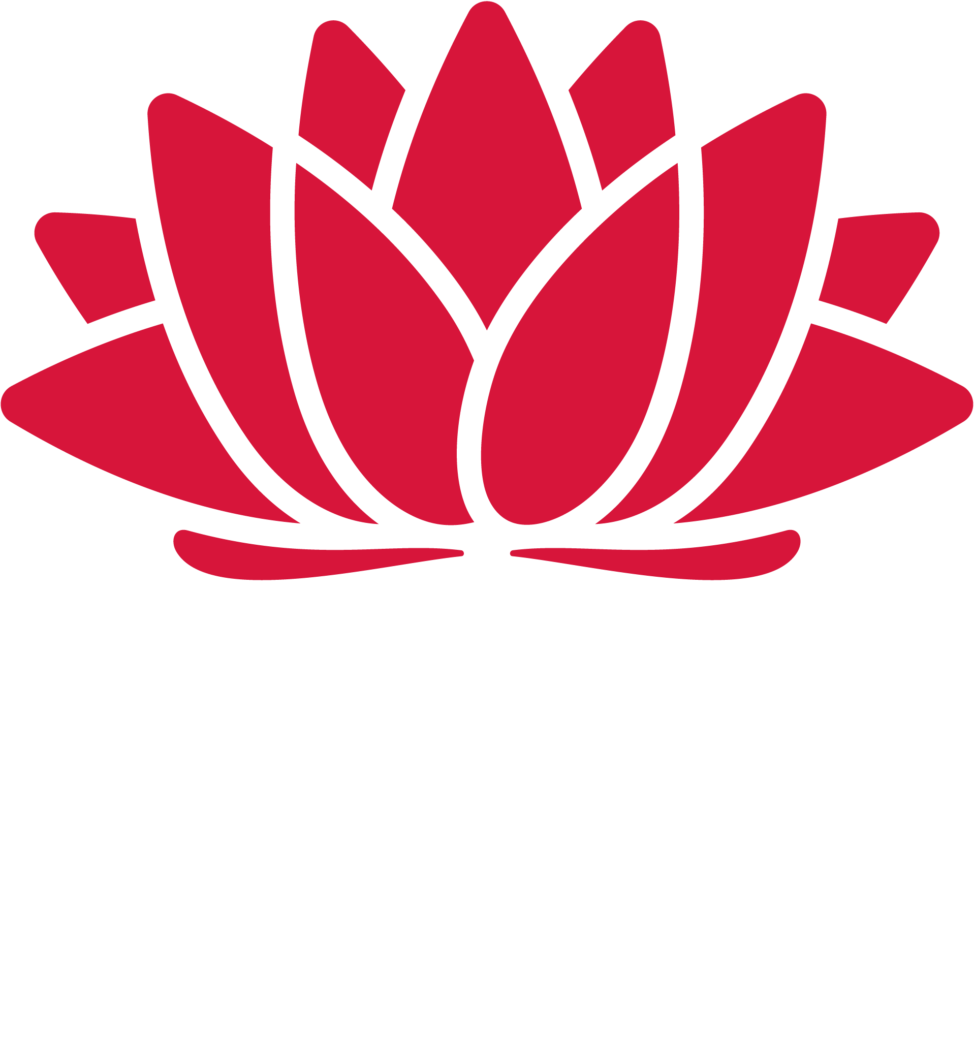 NSW Gov Reverse Logo